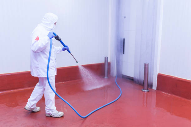 Trusted Schuylkill Haven, PA Pressure Washing Services Experts